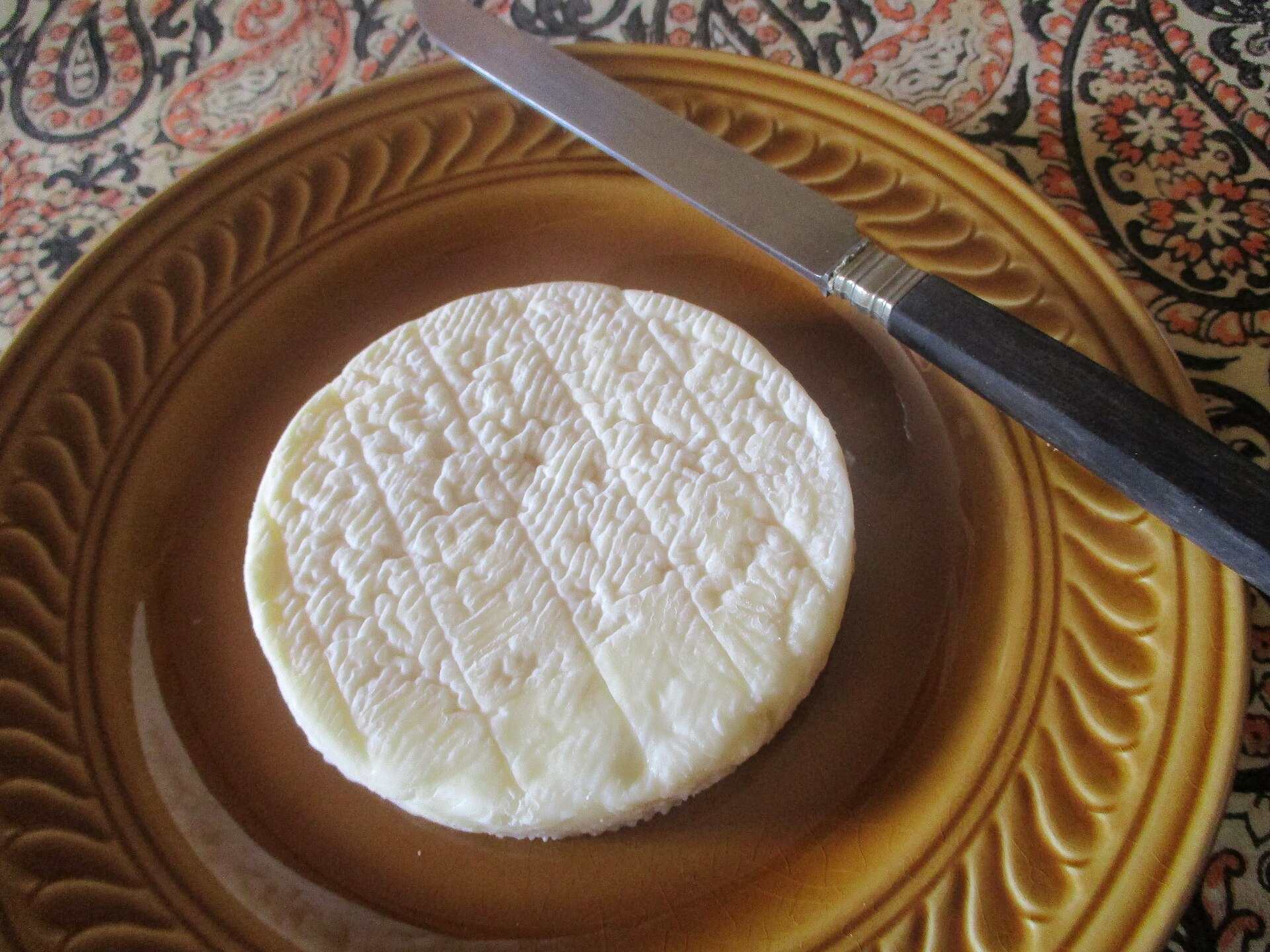 Kleiner Käse, große Geschichte – Wie der Pérail dem Larzac neues Leben einhaucht