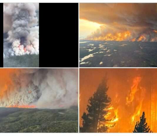 Kanada in Flammen: Waldbrände 2025 stürzen das Land ins Chaos Waldbrände_Kanada_ScreenX