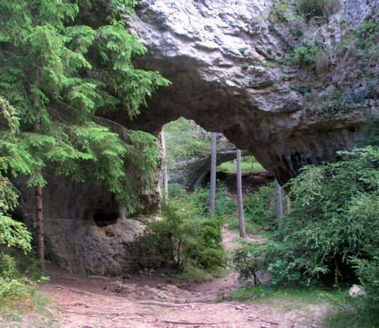 Occitanie im Rampenlicht: Wie Südfrankreich zum französischen „Hollywood“ wurde Arcs_de_St_Pierre_Wikipedia