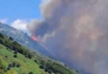 Kampf gegen die Flammen: Waldbrand in den Cévennes fordert Großaufgebot Brand_Ardeche_ScreenX