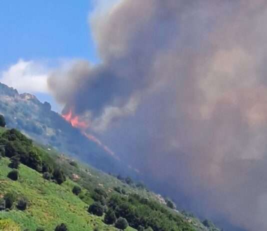 Kampf gegen die Flammen: Waldbrand in den Cévennes fordert Großaufgebot Brand_Ardeche_ScreenX