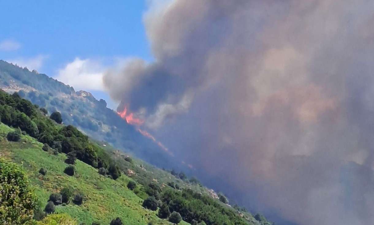 Kampf gegen die Flammen: Waldbrand in den Cévennes fordert Großaufgebot