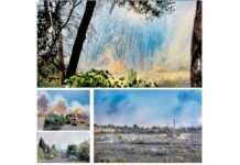 Flammen, Wind und Hoffnung – Der Waldbrand von Sigean Brand_Sigean_ScreenX