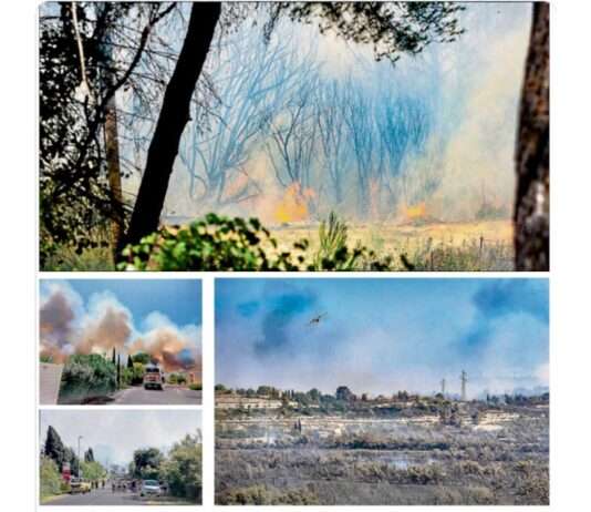 Flammen, Wind und Hoffnung – Der Waldbrand von Sigean Brand_Sigean_ScreenX