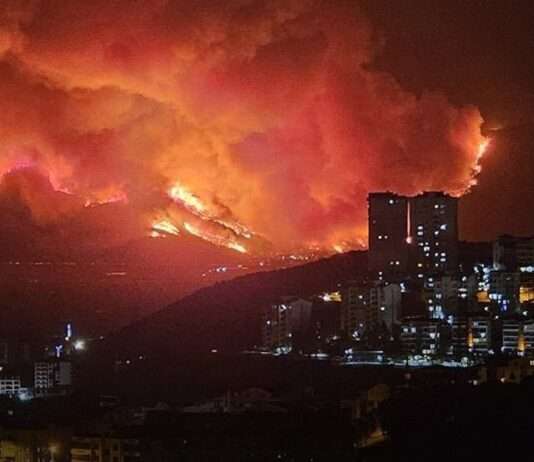 Türkei in Flammen: Hitze, Dürre und ein Land am Limit Bursa_brennt_ScreenX