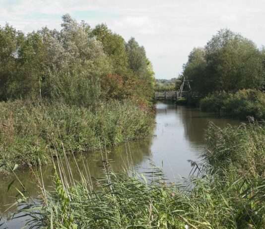 Zwischen Himmel, Wasser und Gemüse: Entdeckungsreise durch den Marais Audomarois Clairmarais-reserve