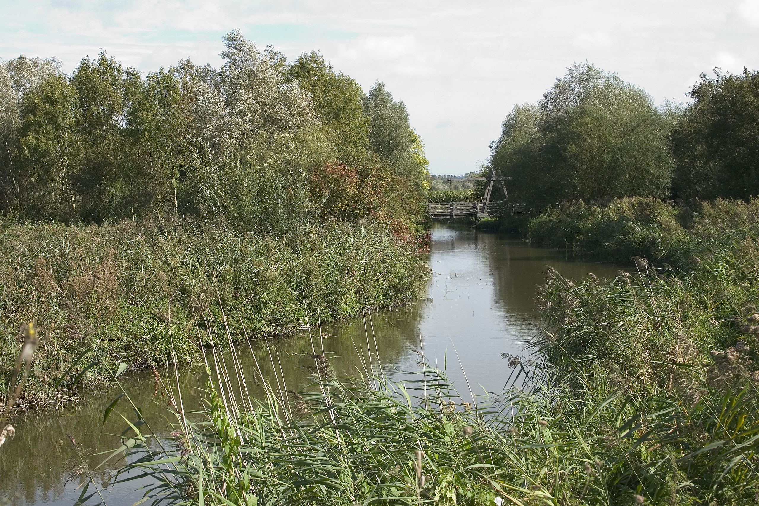 Zwischen Himmel, Wasser und Gemüse: Entdeckungsreise durch den Marais Audomarois