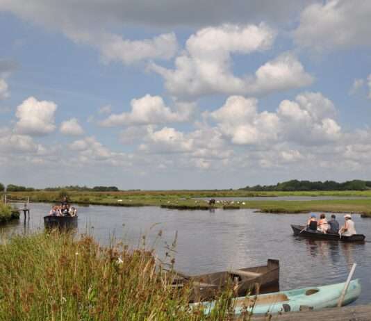 Todeszone Brière: Wie eine stille Epidemie die Vogelwelt eines Naturparadieses auslöscht Embarquement_en_Brière