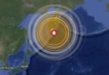 Tsunami-Alarm im Pazifik – Beben vor Russland löst weltweite Warnungen aus Erdbeben_Kamtschatka_ScreenX
