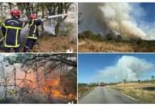 Wenn Legenden in Flammen stehen – Waldbrand im Wald von Brocéliande Feuer_Broceliande_ScreenX