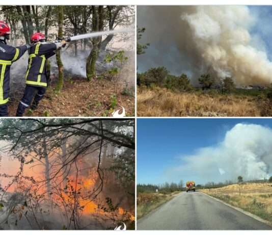 Wenn Legenden in Flammen stehen – Waldbrand im Wald von Brocéliande Feuer_Broceliande_ScreenX
