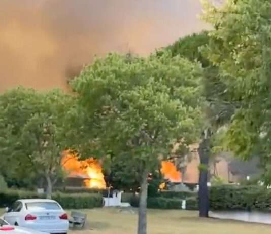 Flammen in der Pinède – Großbrand nördlich von Montpellier schnell eingedämmt Feuer_Montpellier_ScreenX
