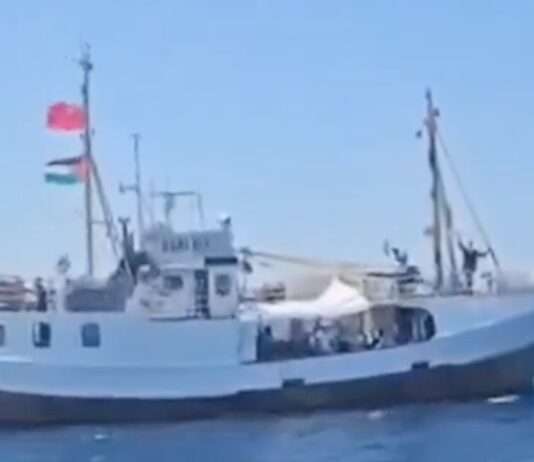 Symbolische Fahrt, reale Spannungen: Israel fängt Hilfsschiff „Handala“ ab – Neuestes aus dem Gaza-Konflikt Handala_ScreenX