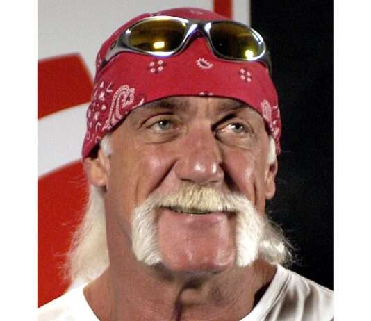 Hulkamania for ever: Der Tod von Hulk Hogan beendet eine Ära des Entertainments Hulk_Hogan_Wikipedia