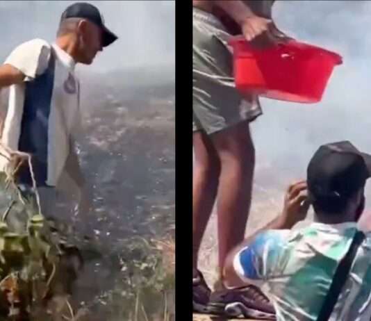 Waldbrand bei Marseille: Wut, Angst und der Ruf nach Konsequenzen Marseille_Bürger_löschen_ScreenX