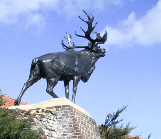 Monchy-le-Preux: Wo Bauernhofgeschichten und Sternennächte ein Dorf zum Leben erwecken Monchy-le-Preux