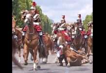 Reiterlos auf den Champs-Élysées – Zwischenfall beim Nationalfeiertag in Paris wirft Fragen auf Pferd_stürzt_Champs-Elysees_ScreenX