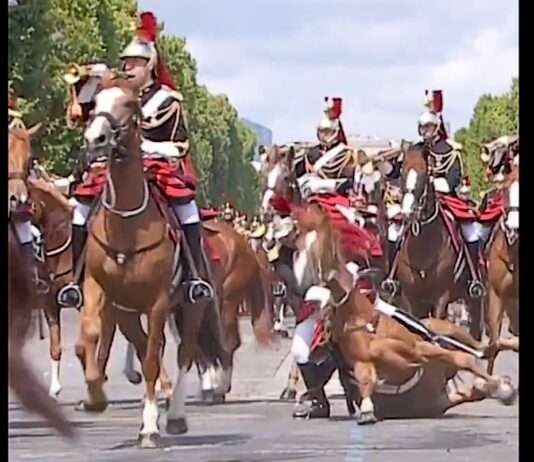 Reiterlos auf den Champs-Élysées – Zwischenfall beim Nationalfeiertag in Paris wirft Fragen auf Pferd_stürzt_Champs-Elysees_ScreenX