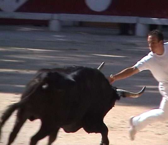 Zwischen Stieren, Salz und Tradition – Die magische Welt der Course Camarguaise in Saintes-Maries-de-la-Mer Raseteur