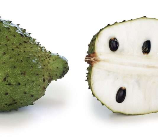 Tropische Früchte und neurologisches Risiko – Der „Parkinson-Karibik“-Effekt Soursop_Annona_muricata