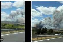 Feueralarm im Paradies: Wie die Brände in der Aude den Sommerurlaub zerstören – Stronierungen und vorzeitige Abreisen Waldbrand_Aude_ScreenX