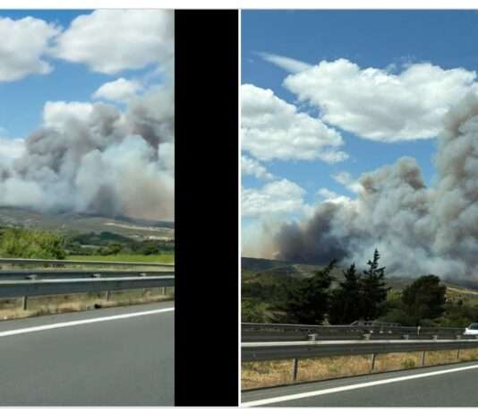 Feueralarm im Paradies: Wie die Brände in der Aude den Sommerurlaub zerstören – Stronierungen und vorzeitige Abreisen Waldbrand_Aude_ScreenX