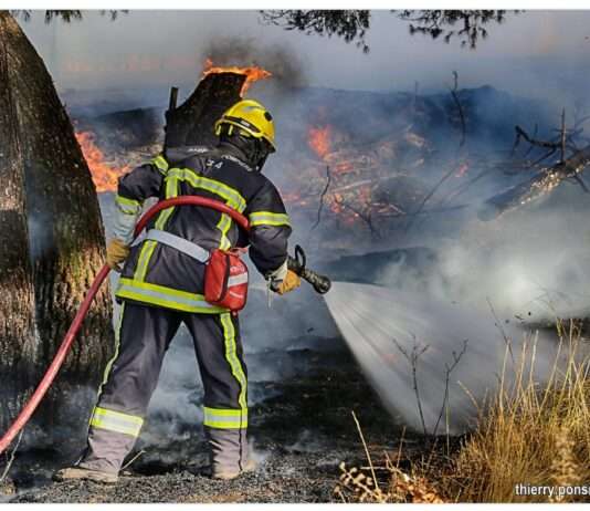 Wenn Behörden über Flammen sprechen: Was „fixé“, „maîtrisé“ und „circonscrit“ wirklich bedeuten Waldbrand_Herault_ScreenX