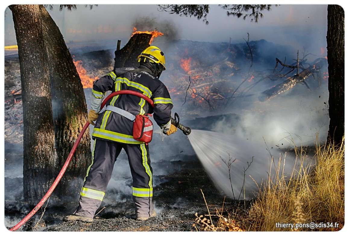 Flammenmeer bei Castelnau-de-Guers – 700 Hektar Vegetation in Schutt und Asche