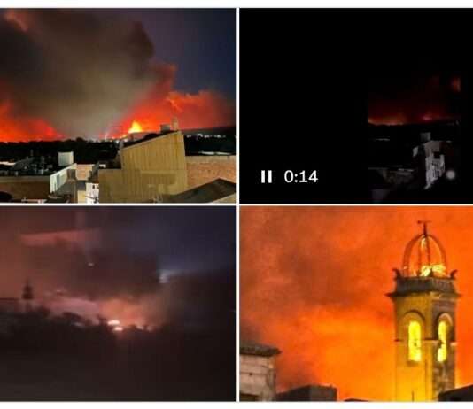 Katalonien im Flammenmeer: Wenn der Himmel brennt und der Rauch bis Alicante zieht Waldbrand_Katalonien_ScreenX