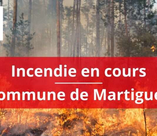 Feuer an der Côte d’Azur: Waldbrand bei Martigues Waldbrand_Martigues_ScreenX