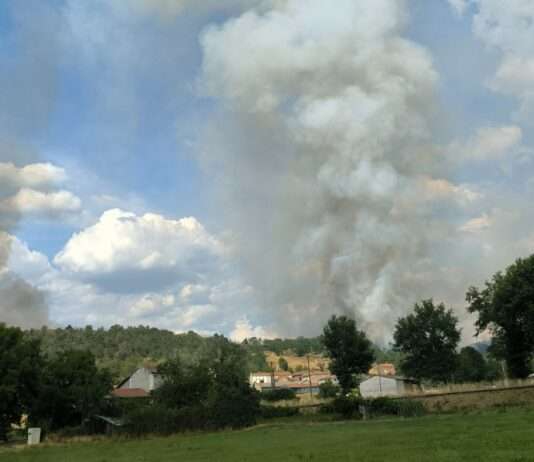 Flammen in der Haute-Loire: Wenn der Sommer zur Gefahr wird Waldbrand_Nozeyrolles_ScreenX