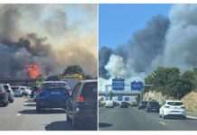 Flammen am Stadtrand – Es brennt wieder bei Marseille Waldbrand_bei_Marseille_ScreenX