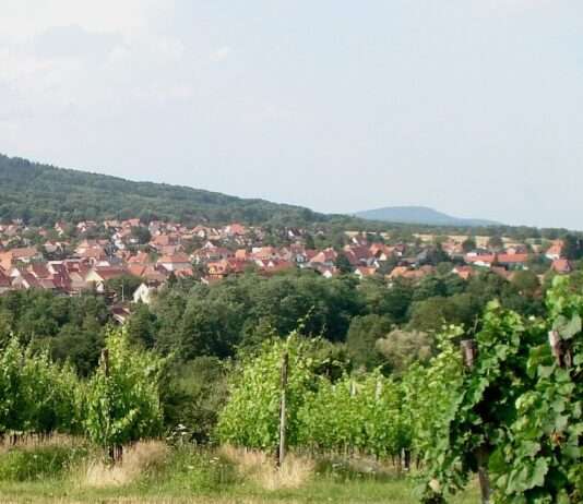 „Wir lassen uns nicht einschüchtern“ – Drohungen gegen Bürgermeister erschüttern Wattwiller WattwillerdepuisNodelberg_Wikipedia