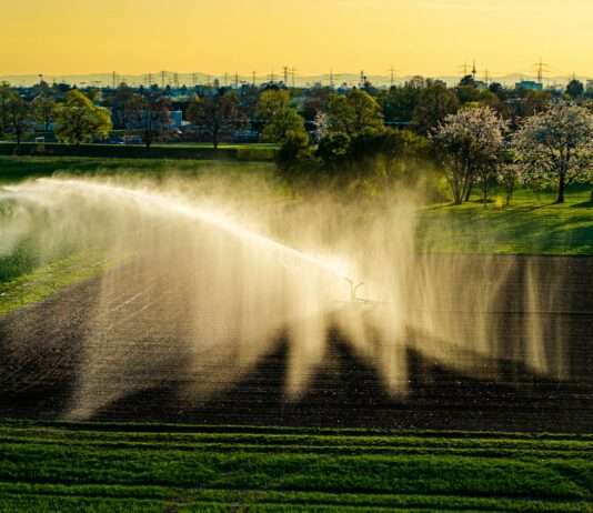 Kommentar: Wasser aus der Kläranlage – oder: Warum wir radikal umdenken müssen bewässerung_Landwirtschaft