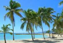 Wenn die Erde spricht: Ein schweres Erdbeben vor Guadeloupe rüttelt an Frankreichs Karibikinsel Beach_in_Sainte-Anne_Guadeloupe