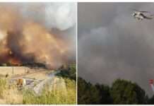 Flammen in der Charente – Wenn ein Wald in einer Nacht verschwindet Brand_Charante_ScreenX