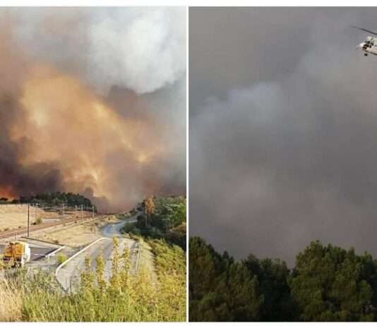 Flammen in der Charente – Wenn ein Wald in einer Nacht verschwindet Brand_Charante_ScreenX