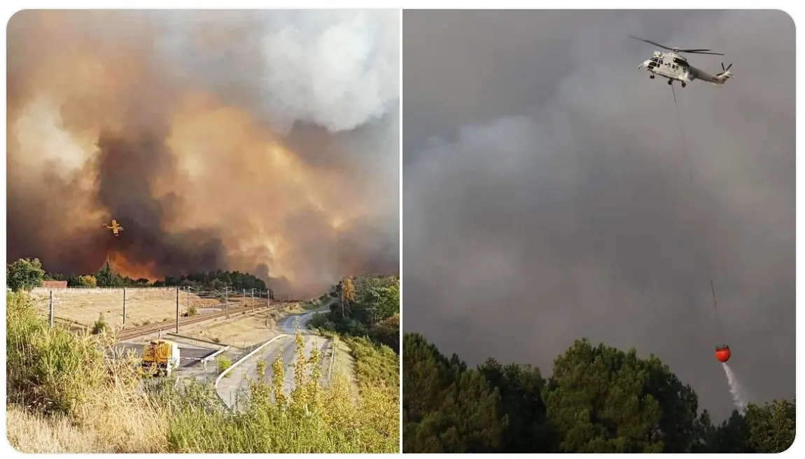 Flammen in der Charente – Wenn ein Wald in einer Nacht verschwindet