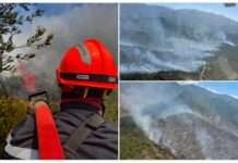 Verbrannte Erde in Oletta – Feuergefahr auf Korsika bleibt brandaktuell Brand_Korsika_Oletta_ScreenX