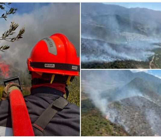 Verbrannte Erde in Oletta – Feuergefahr auf Korsika bleibt brandaktuell Brand_Korsika_Oletta_ScreenX