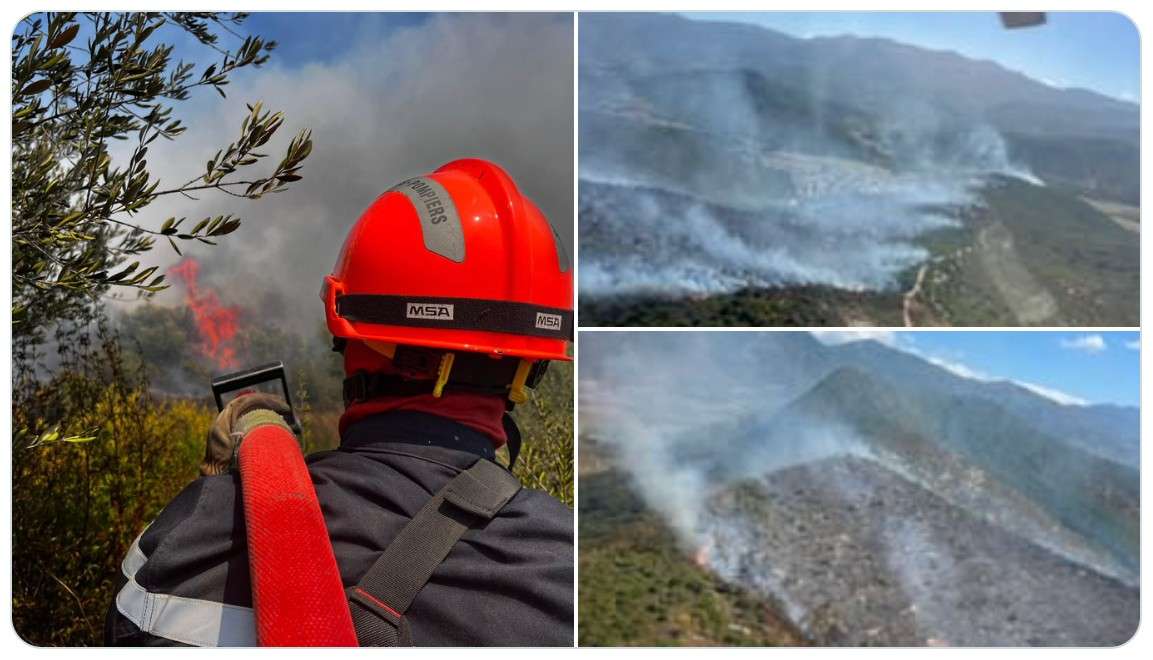 Verbrannte Erde in Oletta – Feuergefahr auf Korsika bleibt brandaktuell
