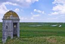 Zwischen Himmel, Salz und Schilf: Das Marais de Brouage marais-de-brouage