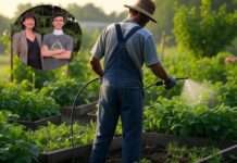 Glyphosat, Justiz und Gerechtigkeit: Der lange Atem der Familie Grataloup Familie_Grataloup_Glyphosat_Illustration