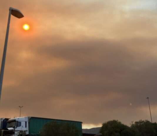 Flammenmeer im Süden: Autobahnen und Landstraßen gesperrt Waldbrand_Autobahn_A9