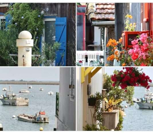Postkartenidylle unter Druck: L’Herbe am Cap Ferret ringt um Ruhe, Respekt und Zukunft Herbe-Cap-Ferret_ScreenX