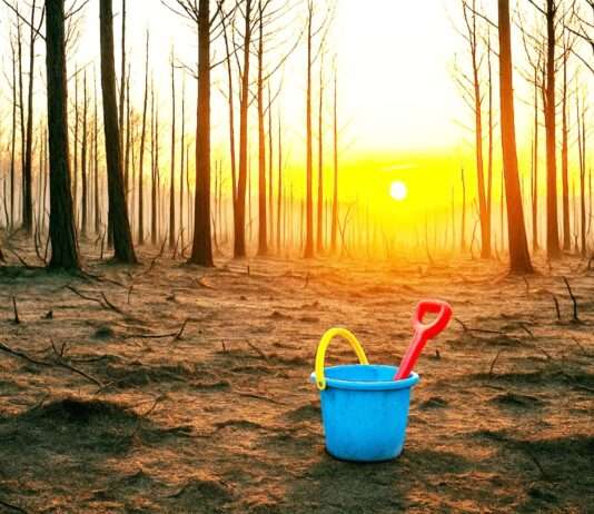 Adieu, Sommerferien? – Wie die Klimakrise unseren Sehnsuchtsort Frankreich verbrennt Klimawandel_Frankreich_Sommer_Hitze_Waldbrand_Illustration