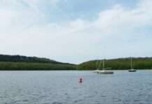 Sommeralarm im Norden Frankreichs: 20 Fälle von bakterieller Ruhr nach Badeausflug im See Lac_des_vieilles_forges-baie_d_harcy