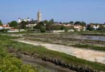 Île de Noirmoutier: Wenn Nachbarn zu Deichbauern werden Noirmoutier_en_l'Ile_-_Vue_générale