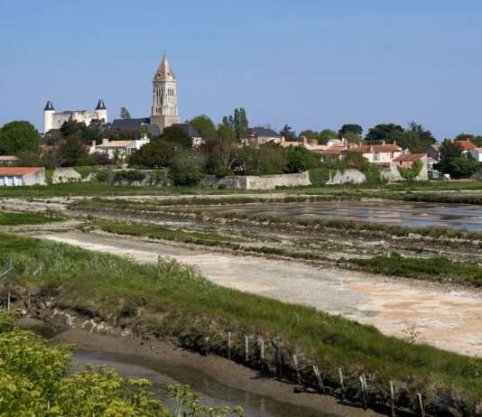 Île de Noirmoutier: Wenn Nachbarn zu Deichbauern werden Noirmoutier_en_l'Ile_-_Vue_générale