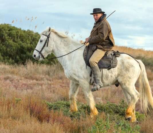 Gardians – Hüter des wilden Camargue-Geists Gardian_Saint-Laurent-d'Aigouze_Wikipedia